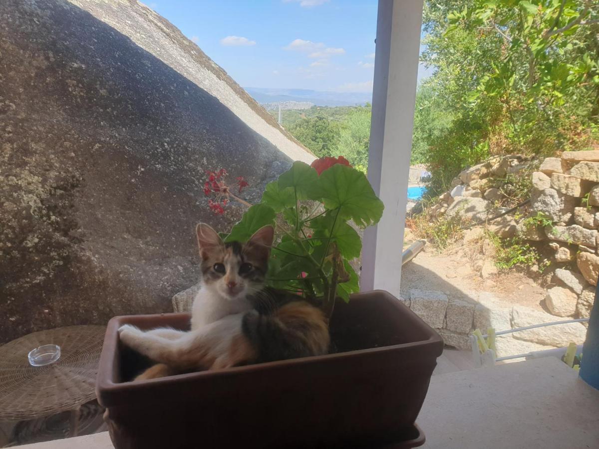 B&B Tiscali Доргали Екстериор снимка